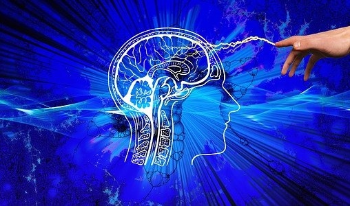 科学的根拠
